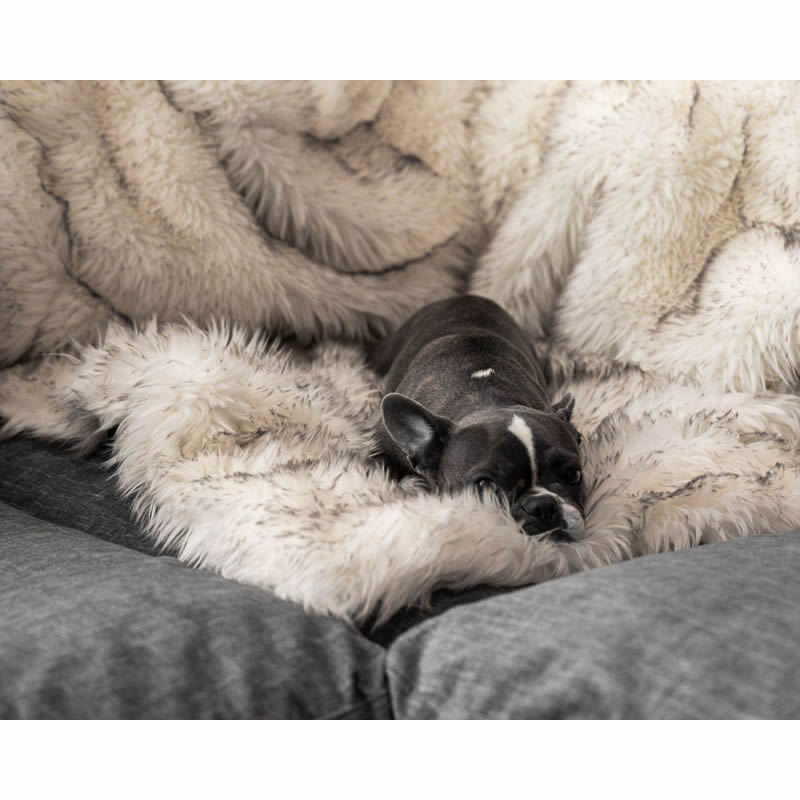 KFX-5629629 Waterproof Plush Dog Kennel with Soft Cushion for Comfort and Warmth