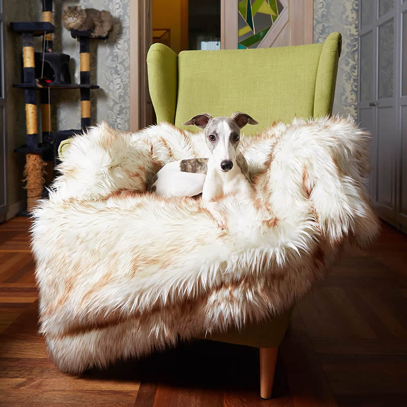 KFX-5629629 Waterproof Plush Dog Kennel with Soft Cushion for Comfort and Warmth