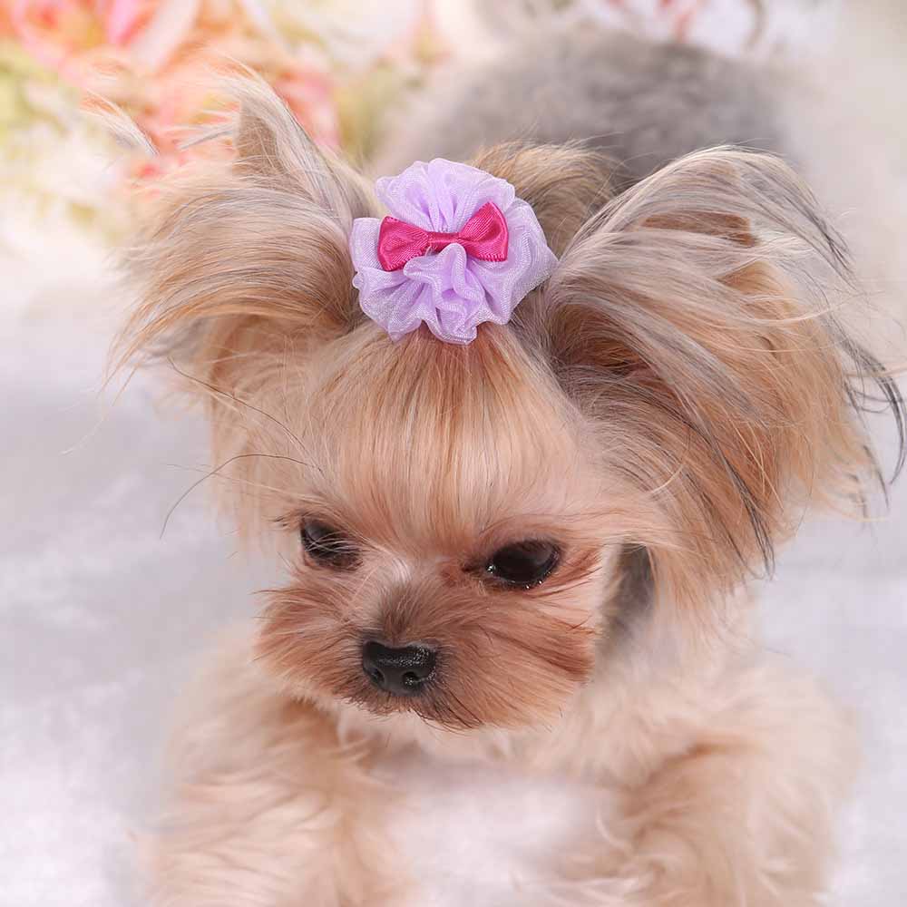 KFX-5633597 Cute Organza Bubble Hairpin for Pets – Available in Pink, Green, Purple, and Blue, 4-5cm Diameter