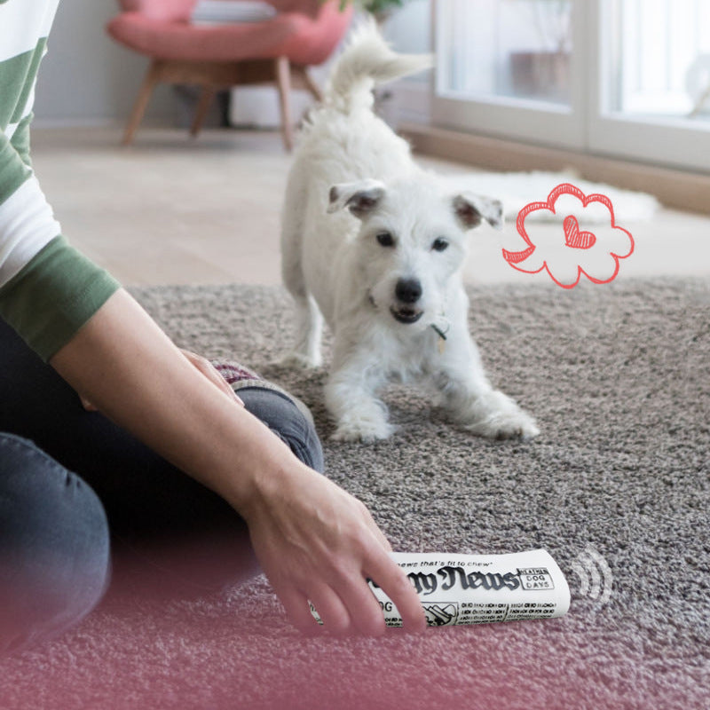KFX-5636157 Squeaky Newspaper Chew Toy for Dogs - Fun Fetch & Play Training Accessory