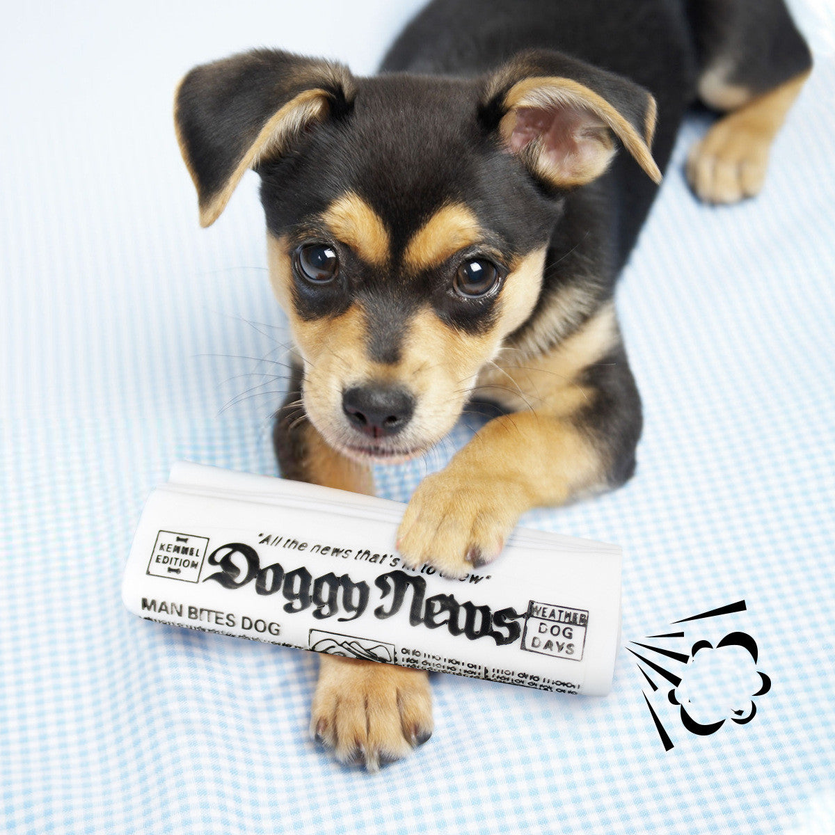 KFX-5636157 Squeaky Newspaper Chew Toy for Dogs - Fun Fetch & Play Training Accessory