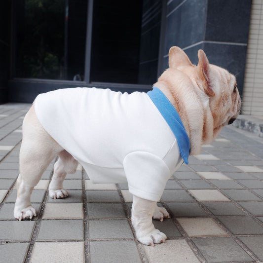 KFX-5637693 Plus Size Colorblock Dog Polo Shirt for Autumn and Winter, Casual Style in Blue and White