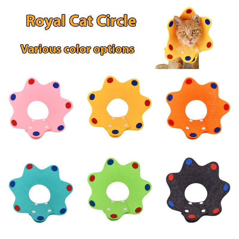 KFX-5639101 Adjustable Lightweight Postoperative Recovery Cat Collar - Color Matching, Suitable for All Seasons