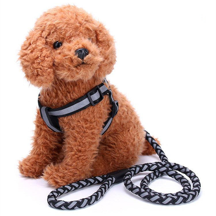 KFX-5640893 Reflective Nylon Braided Pet Leash and Harness Set - Various Colors and Sizes Available