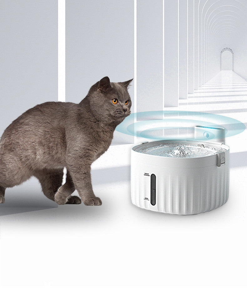 KFX-5642941 Automatic Pet Drinking Fountain with Dual-Mode Power Supply, 2L Capacity for Cats and Dogs, White