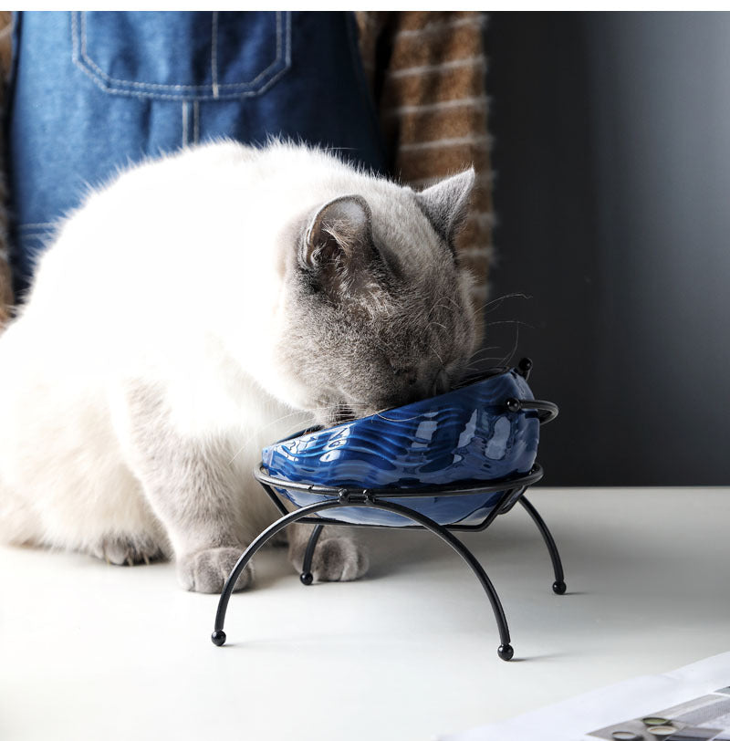 KFX-5643069 Ceramic Pet Bowl with Rack for Cats and Dogs