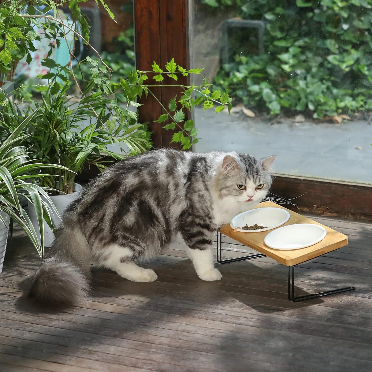 KFX-5644349 Tilted Ceramic Feeding Bowl Set with Bamboo Stand for Small Dogs and Cats