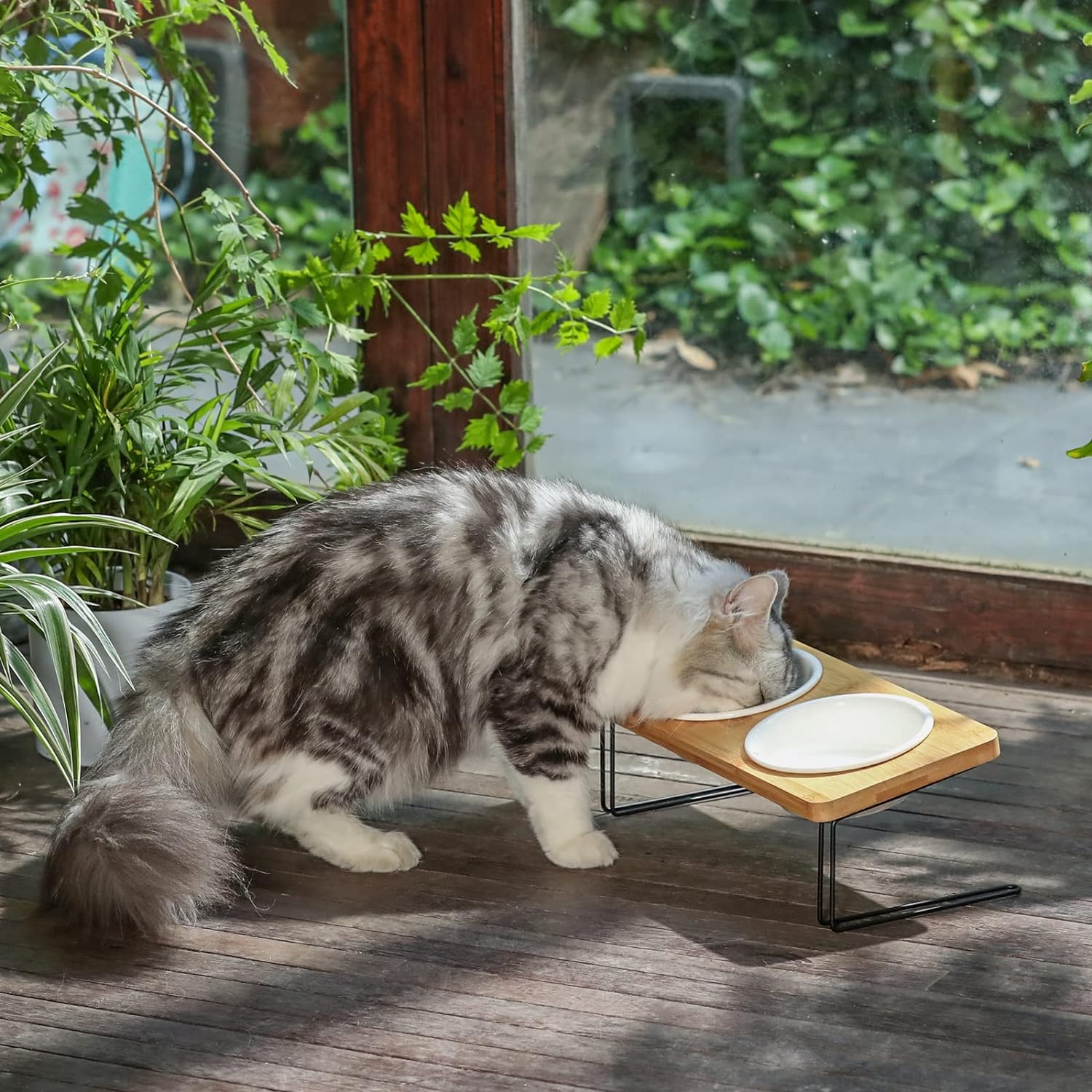 KFX-5644349 Tilted Ceramic Feeding Bowl Set with Bamboo Stand for Small Dogs and Cats