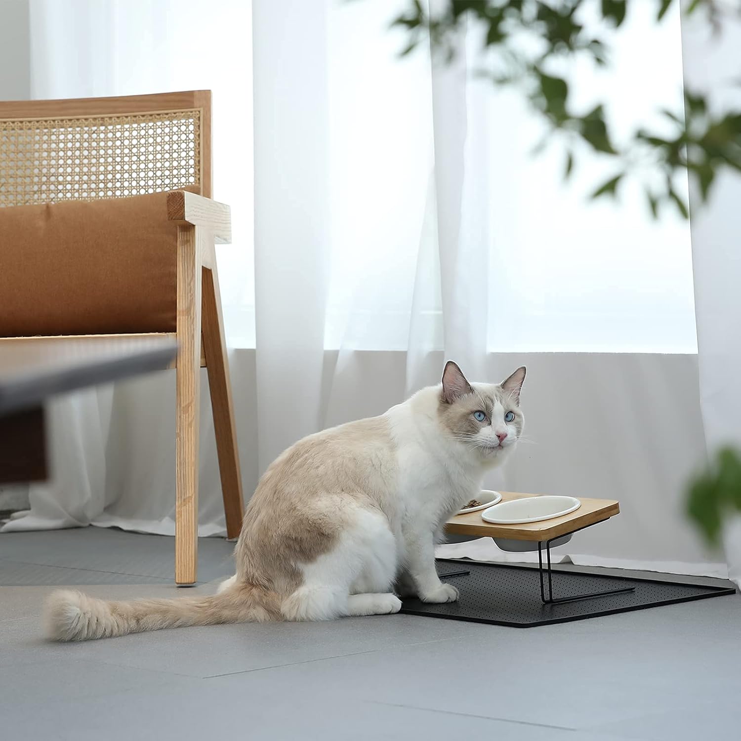 KFX-5644349 Tilted Ceramic Feeding Bowl Set with Bamboo Stand for Small Dogs and Cats