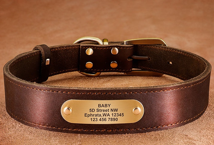 KFX-5648701 Personalized Cowhide Dog Collar with Nameplate ID Tag for Medium to Large Dogs