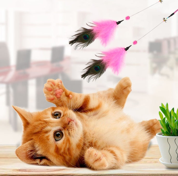 KFX-5653437 Feather Cat Wand with Bite-Resistant Stick - Colorful Peacock Feather for Playful Cats