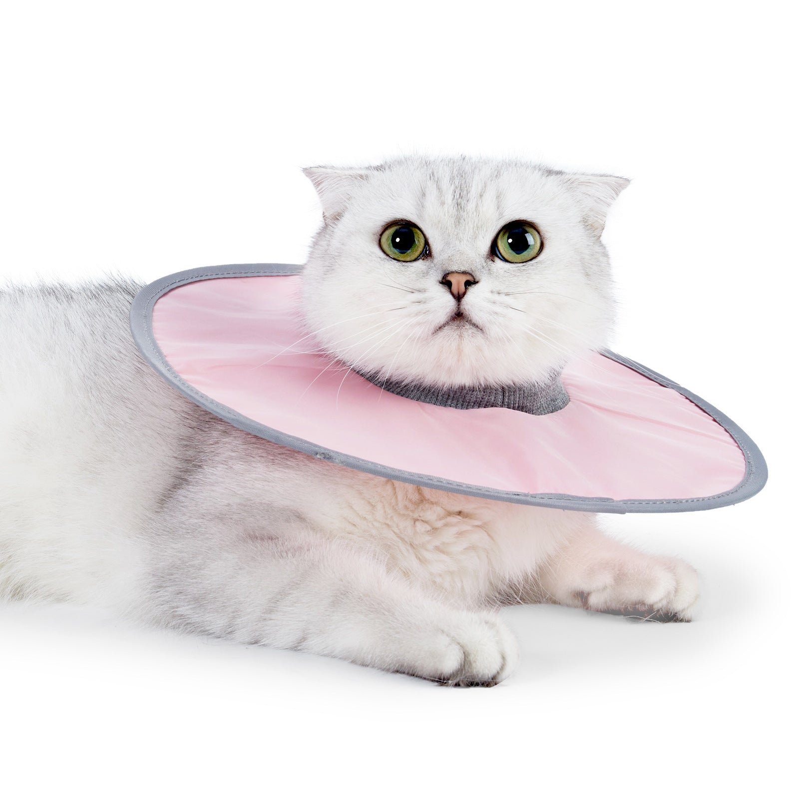 KFX-5654589 Waterproof Adjustable Cat Recovery Collar - Lightweight Protective Cone for Wound Healing