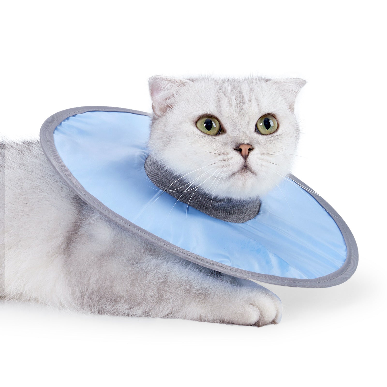 KFX-5654589 Waterproof Adjustable Cat Recovery Collar - Lightweight Protective Cone for Wound Healing
