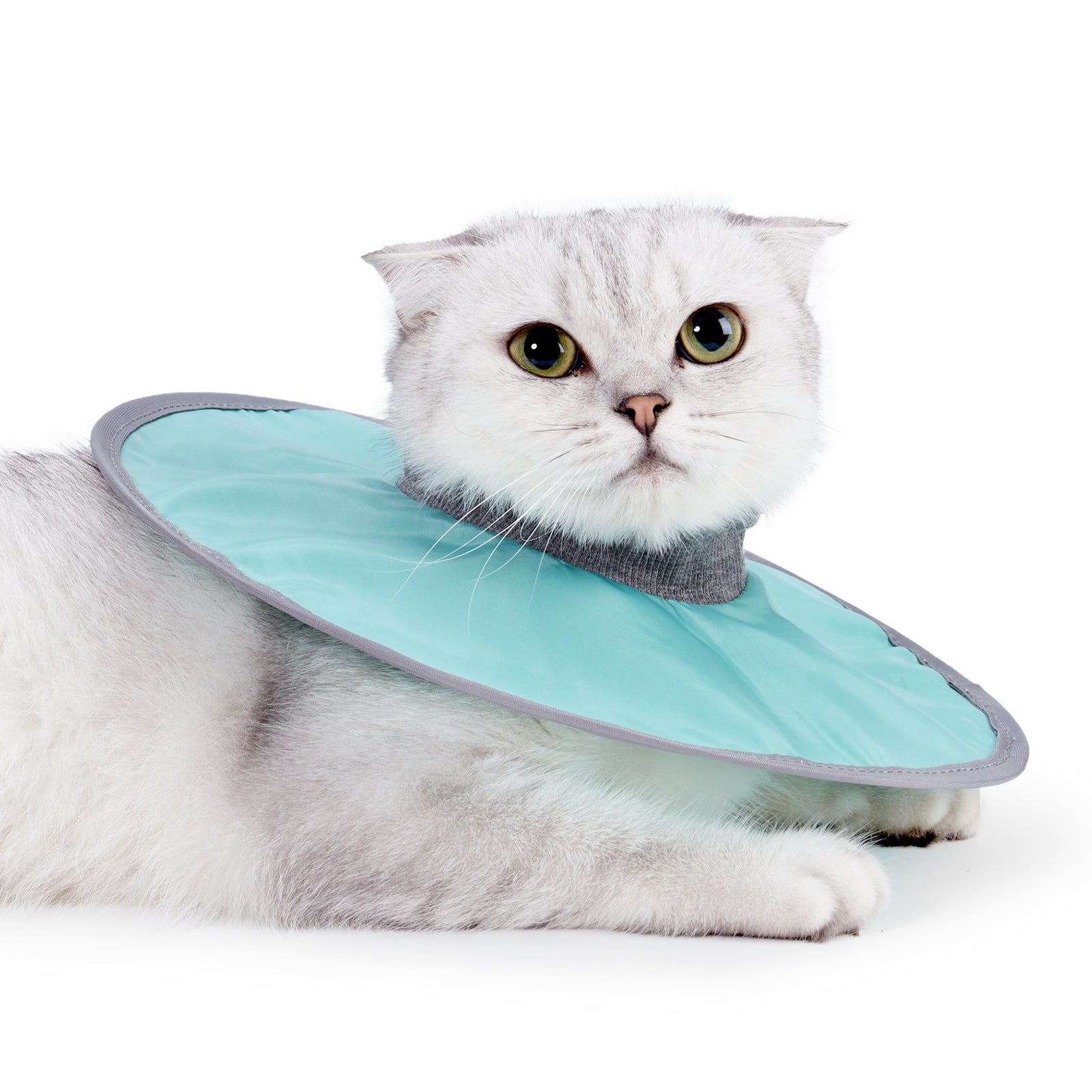 KFX-5654589 Waterproof Adjustable Cat Recovery Collar - Lightweight Protective Cone for Wound Healing