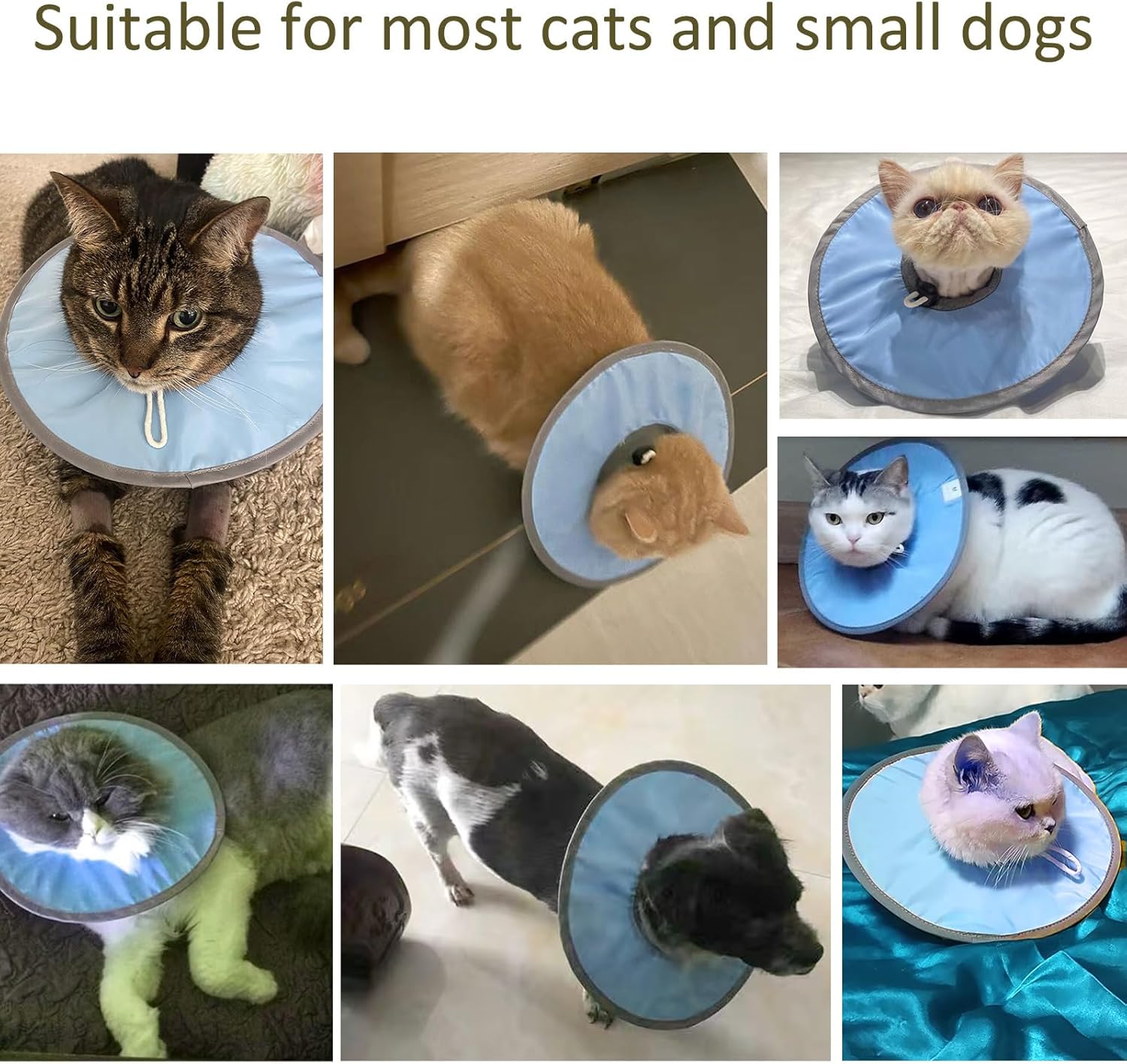 KFX-5654589 Waterproof Adjustable Cat Recovery Collar - Lightweight Protective Cone for Wound Healing