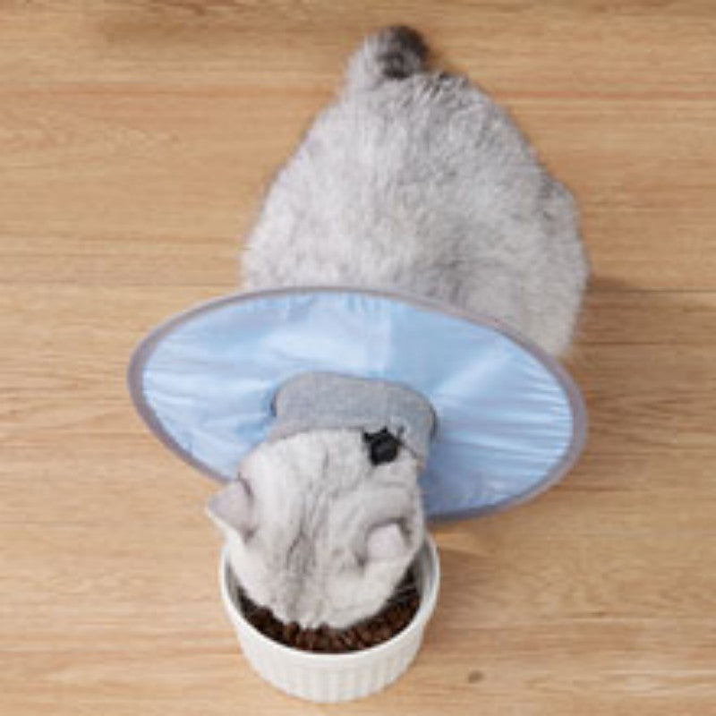 KFX-5654589 Waterproof Adjustable Cat Recovery Collar - Lightweight Protective Cone for Wound Healing