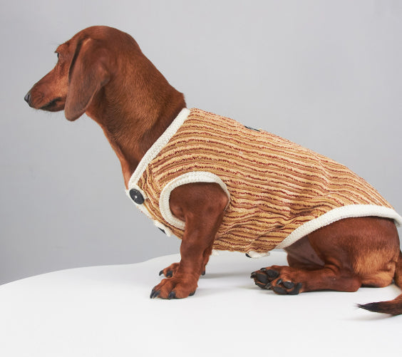KFX-5657149 Striped Hoodie for Miniature Pinschers and Bichons - Various Sizes Available