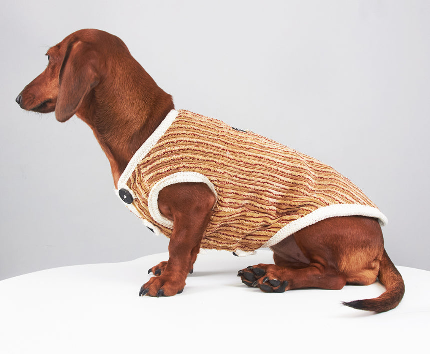 KFX-5657149 Striped Hoodie for Miniature Pinschers and Bichons - Various Sizes Available