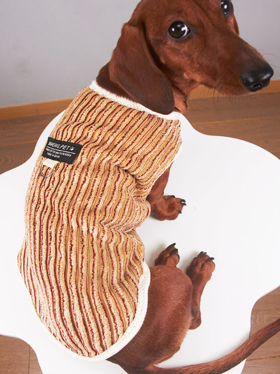 KFX-5657149 Striped Hoodie for Miniature Pinschers and Bichons - Various Sizes Available