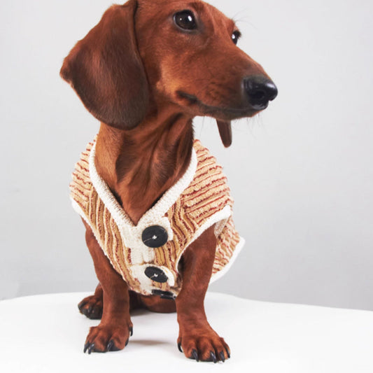 KFX-5657149 Striped Hoodie for Miniature Pinschers and Bichons - Various Sizes Available