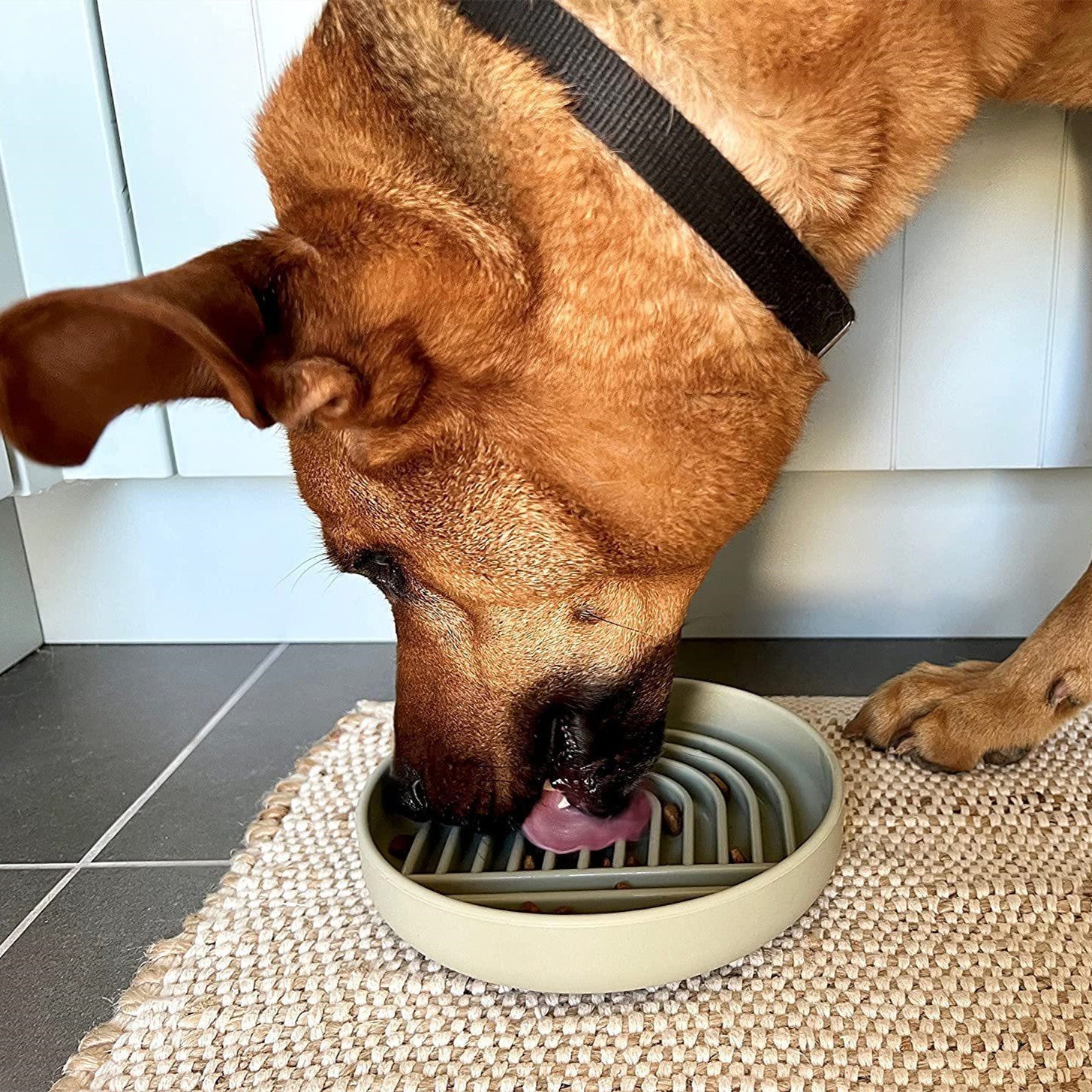 KFX-5658557 Simple Slow Feeding Bowl for Cats and Dogs - Silicone Pet Tableware in Pink, Gray, Light Green