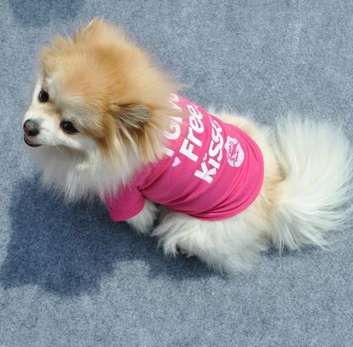 KFX-5670461 Breathable Cotton Short-Sleeved T-Shirt for Puppies in Taro Purple, Blue, and Rose Red