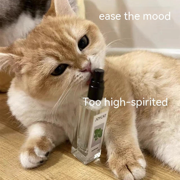 KFX-5671741 Personalized 20ML Cat Happy Water Spray for Playful Moments