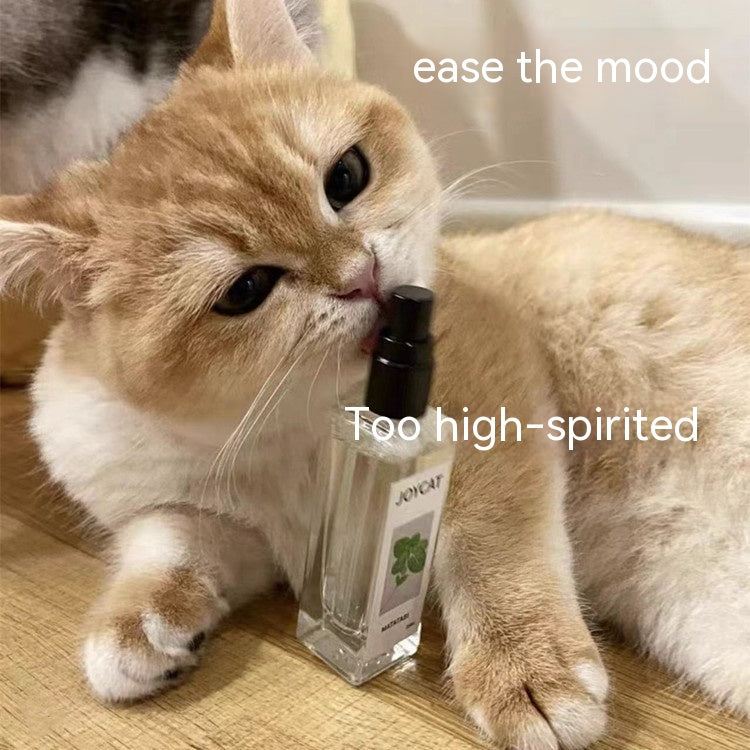 KFX-5671741 Personalized 20ML Cat Happy Water Spray for Playful Moments