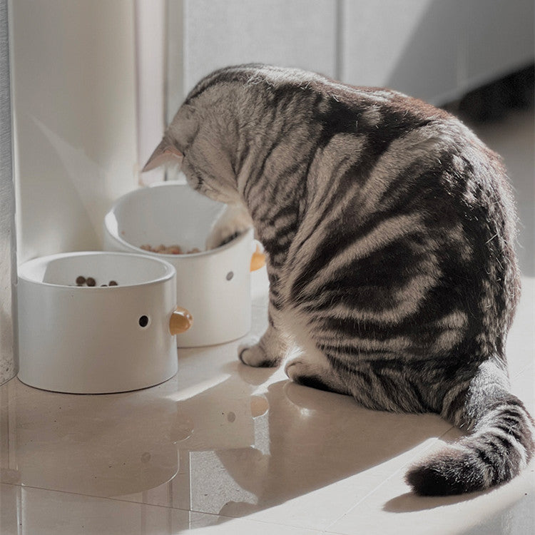 KFX-5685565 Ceramic Slanted Tall Pet Water Bowl with Waterproof Placemat for Dogs and Cats