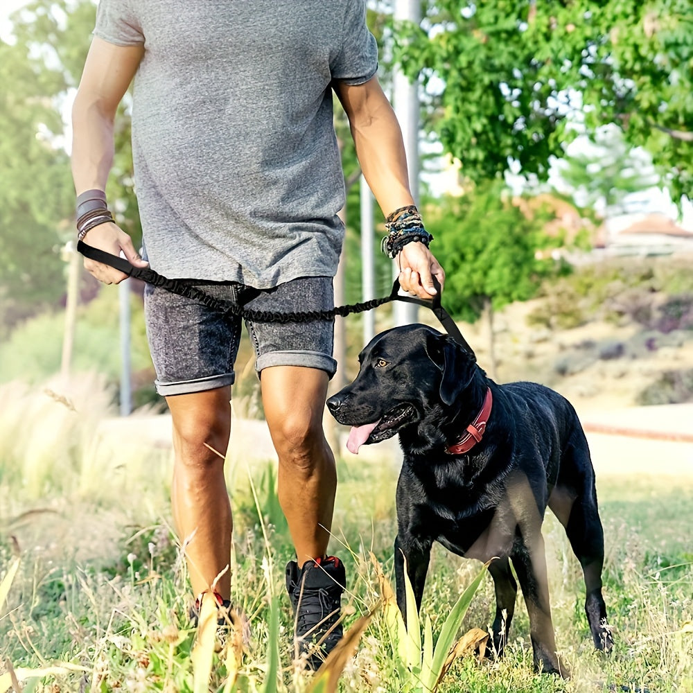 KFX-5686845 Heavy-Duty Retractable Leash for Large Dogs with Anti-Burst Technology