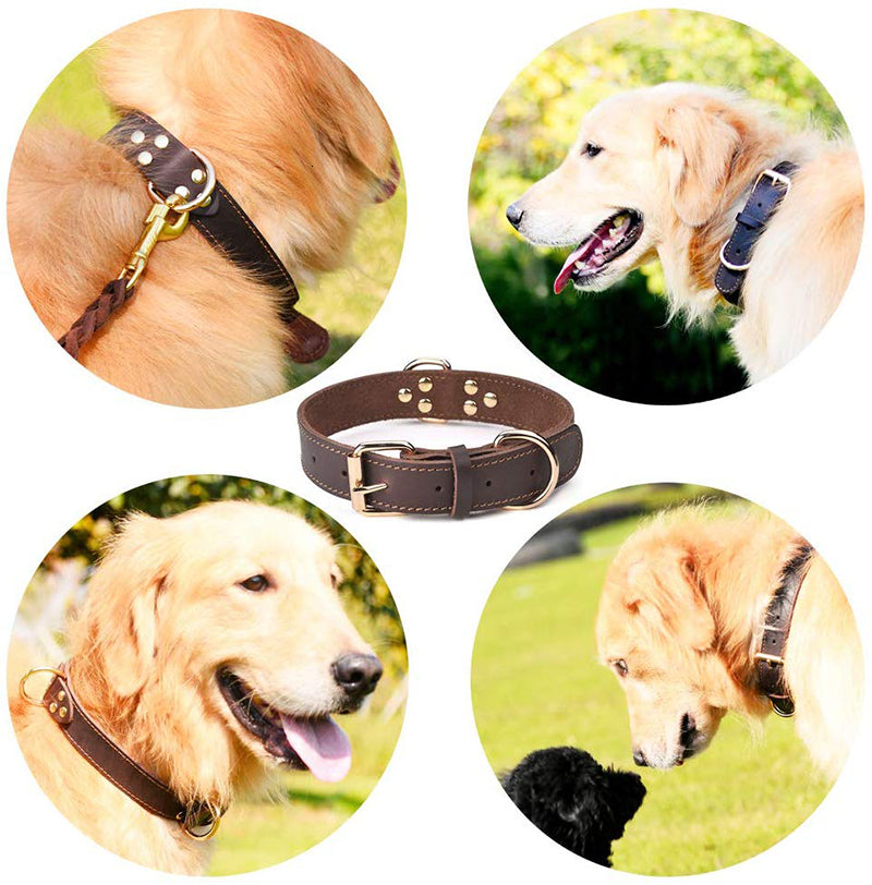 KFX-5687357 Cowhide Dog Collar in Black and Light Brown - Available in Sizes S, M, L (38-65cm)