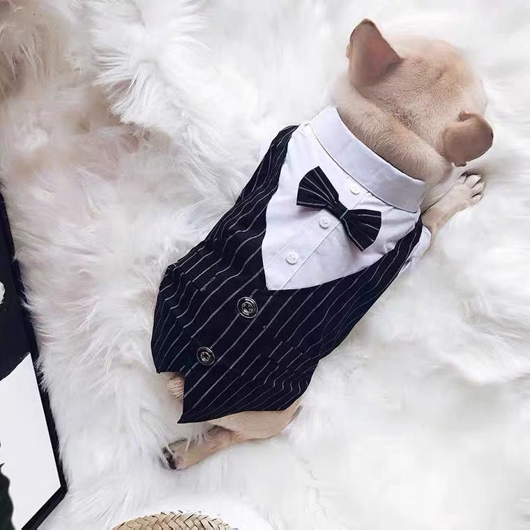 KFX-5693501 Elegant British Style Dog Suit Coat for All Sizes