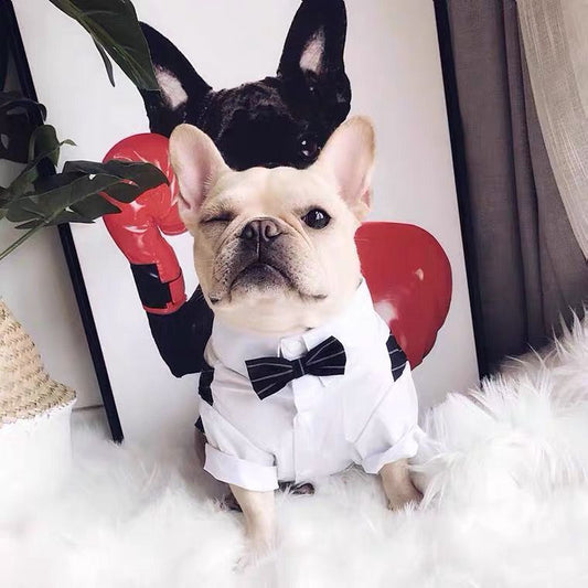 KFX-5693501 Elegant British Style Dog Suit Coat for All Sizes
