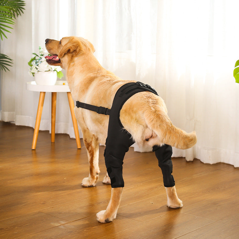 KFX-5695677 Dog Leg Protective Cover for Joint Support - Black & Blue Options Available