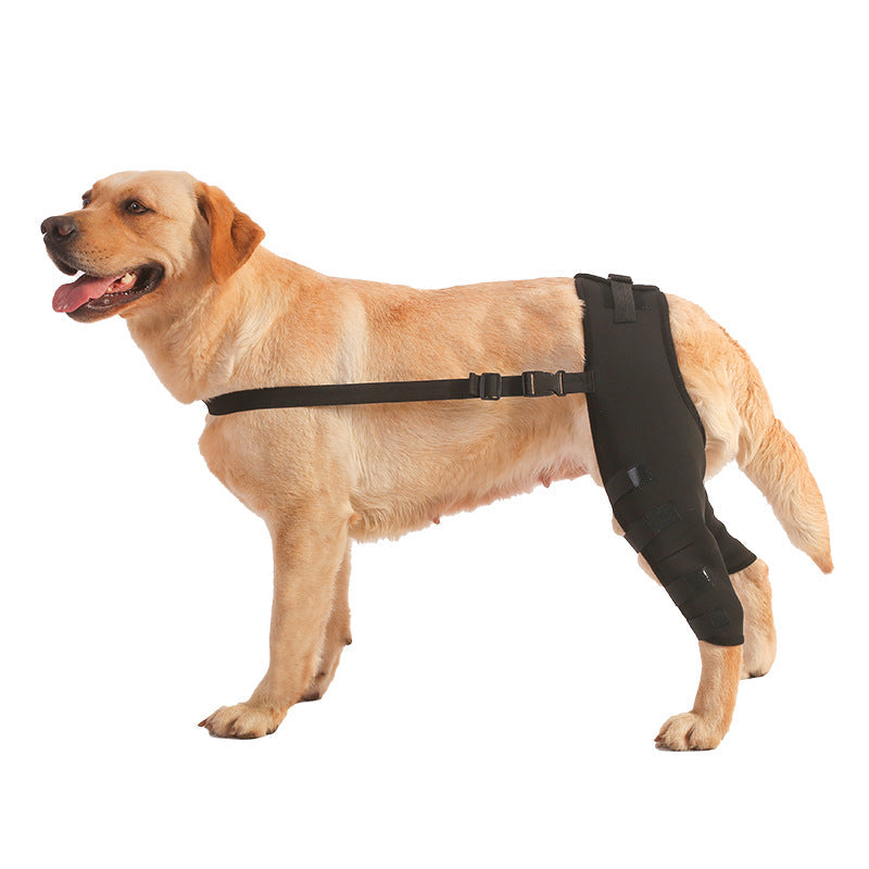 KFX-5695677 Dog Leg Protective Cover for Joint Support - Black & Blue Options Available