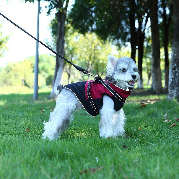 KFX-5696701 Waterproof Casual Cotton Pet Jacket in Red, Sapphire Blue, Army Green - Sizes S to XXL Available