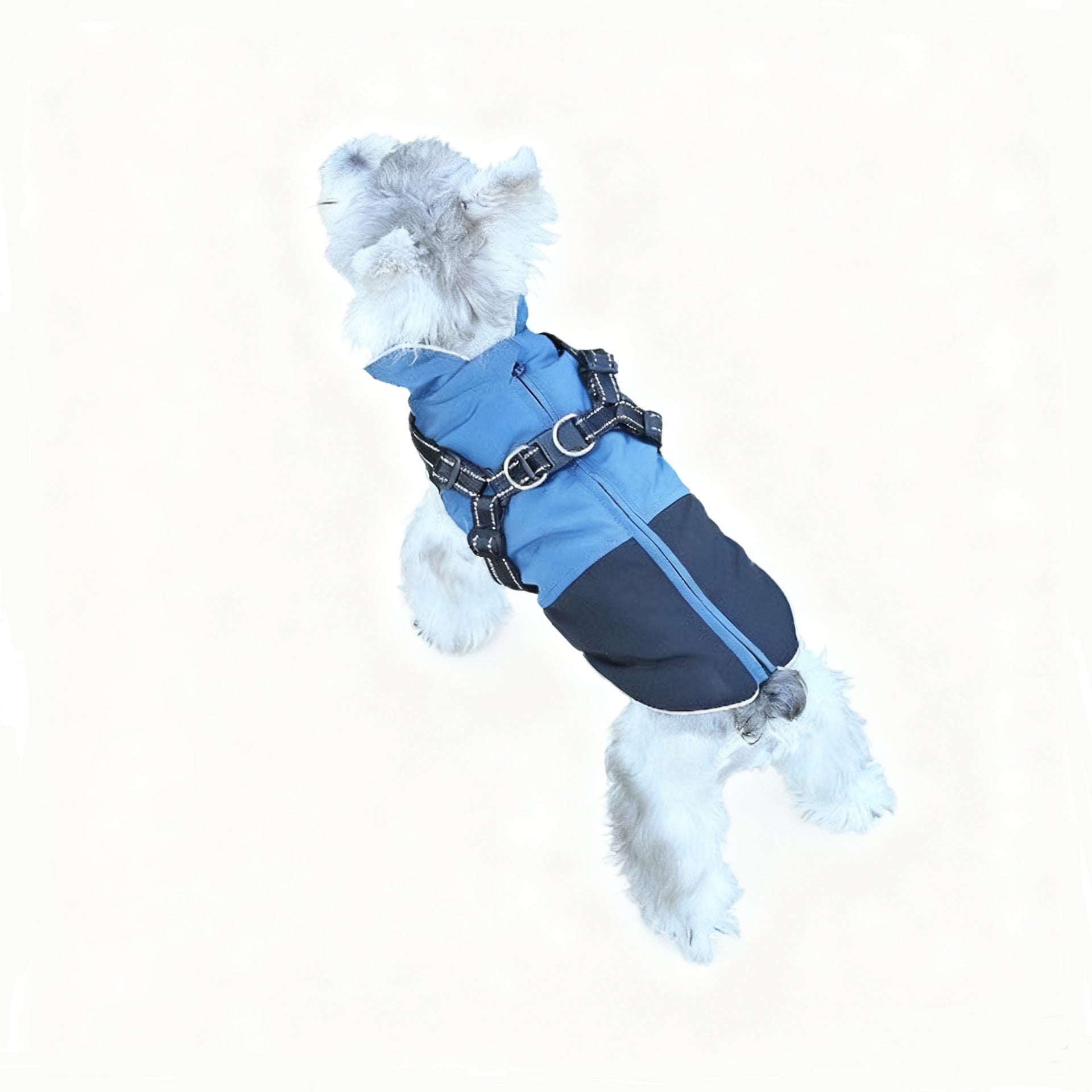 KFX-5696701 Waterproof Casual Cotton Pet Jacket in Red, Sapphire Blue, Army Green - Sizes S to XXL Available