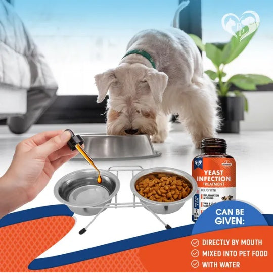 KFX-5696957 Natural Yeast Infection Relief for Dogs - Itchy Skin & Ear Treatment Drops, Reduces Inflammation & Irritation, Promotes Skin Health
