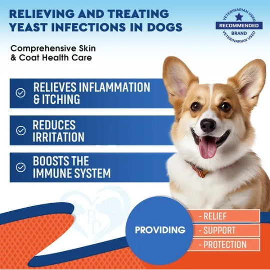 KFX-5696957 Natural Yeast Infection Relief for Dogs - Itchy Skin & Ear Treatment Drops, Reduces Inflammation & Irritation, Promotes Skin Health