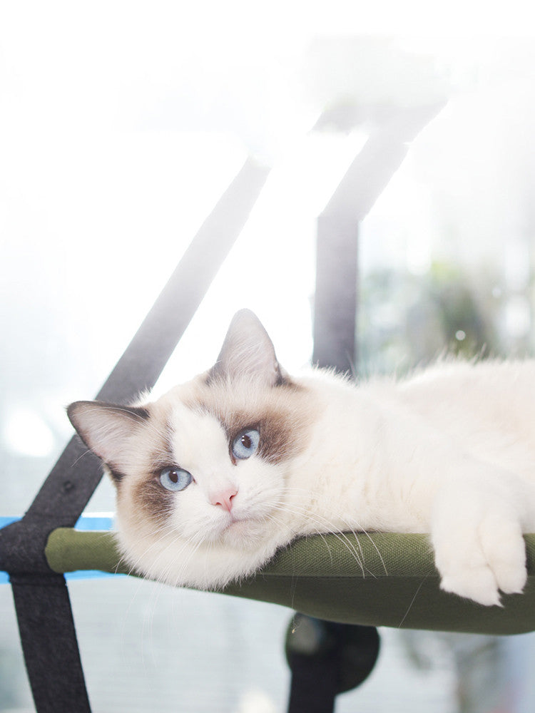 KFX-5698493 Window Sill Cat Hammock with Suction Cups - Comfortable Pet Bed in Green and Blue, Holds up to 35 kg