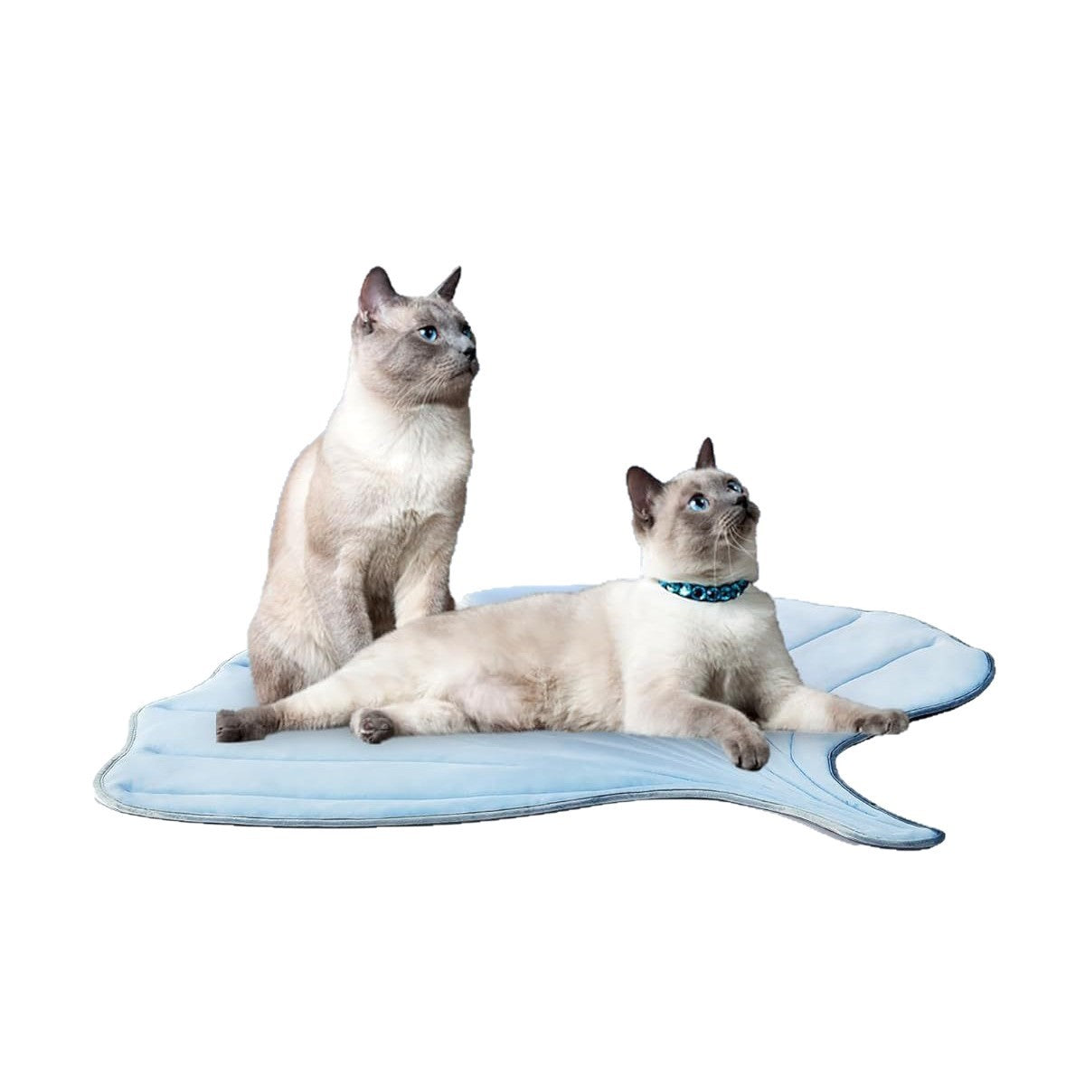 KFX-5698749 Summer Cat Ice Pad Pet Mat in Ginkgo Leaf Design - Available in Light Blue and Light Green Colors