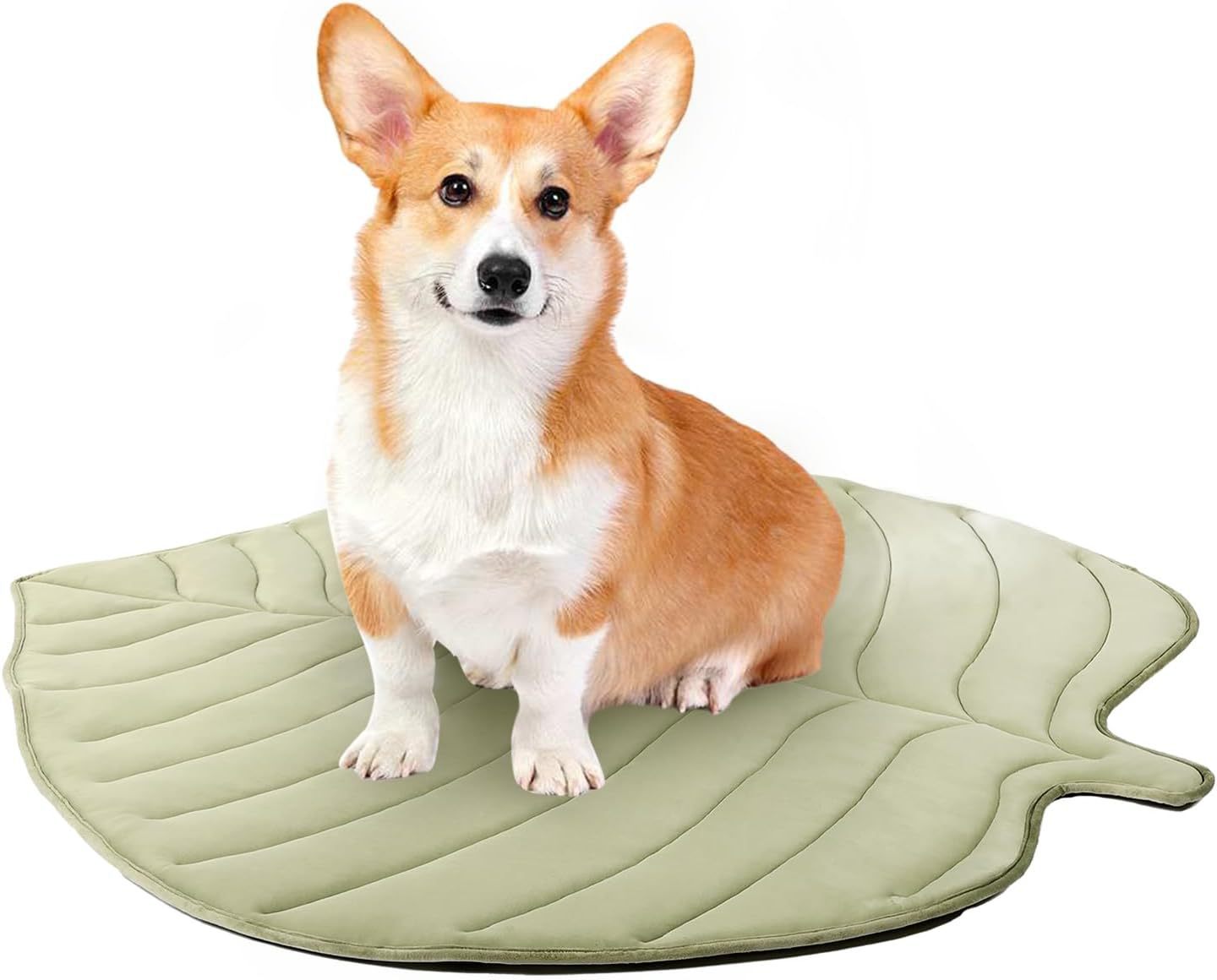 KFX-5698749 Summer Cat Ice Pad Pet Mat in Ginkgo Leaf Design - Available in Light Blue and Light Green Colors