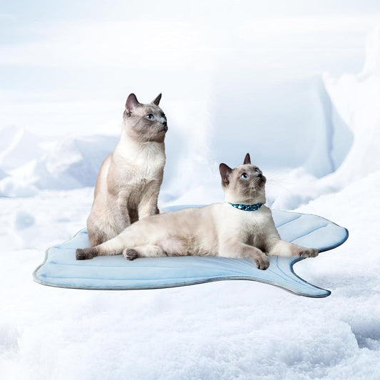 KFX-5698749 Summer Cat Ice Pad Pet Mat in Ginkgo Leaf Design - Available in Light Blue and Light Green Colors