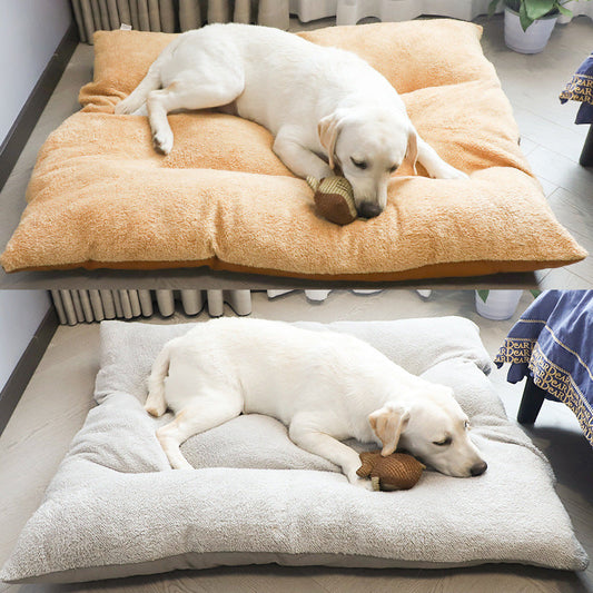 KFX-5700925 Removable and Washable Dog Cushion for Medium to Large Dogs in Gray and Brown
