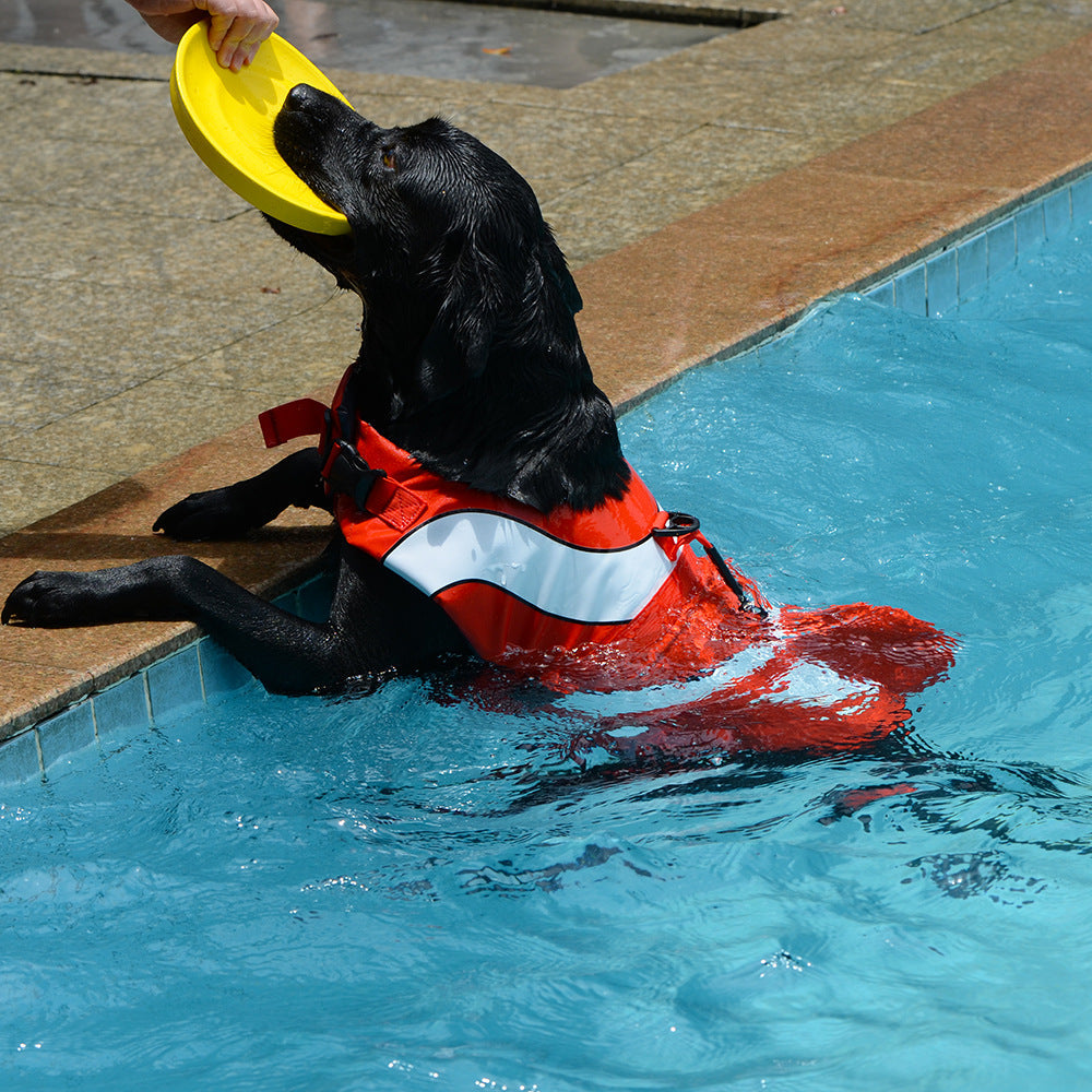 KFX-5703229 Dog Life Jacket for Swimming and Water Sports – Adjustable Floatation Vest with Shark Fin Design