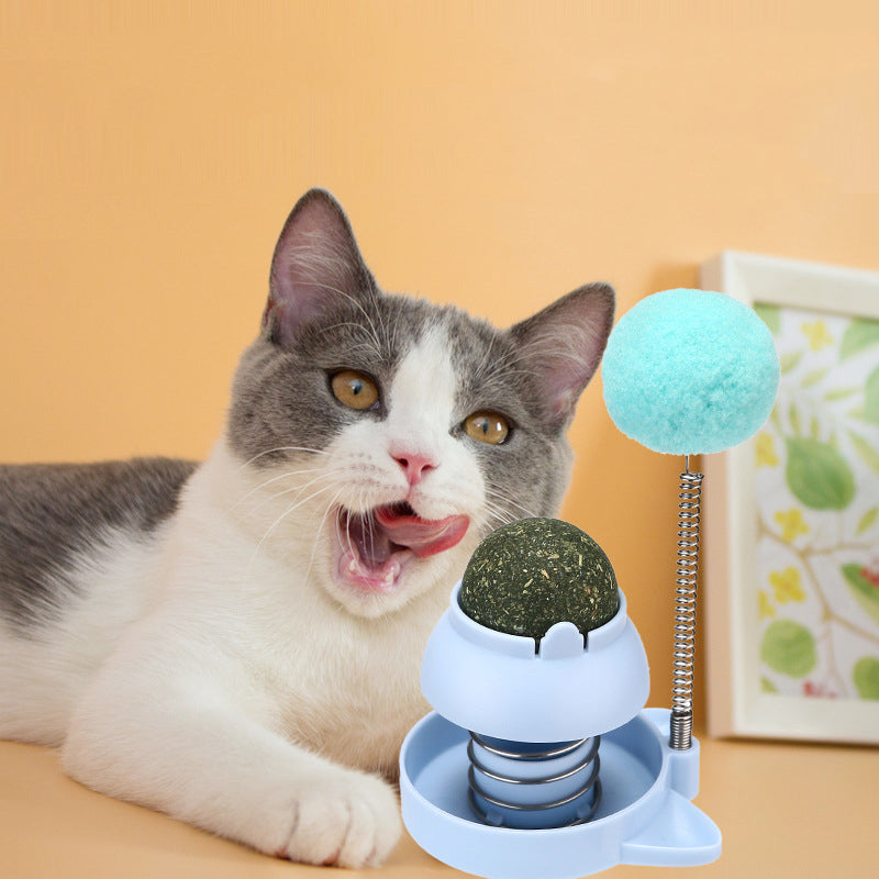 KFX-5709885 Mint Ball Cat Toy for Hairball Relief and Teeth Cleaning, 55mm Size