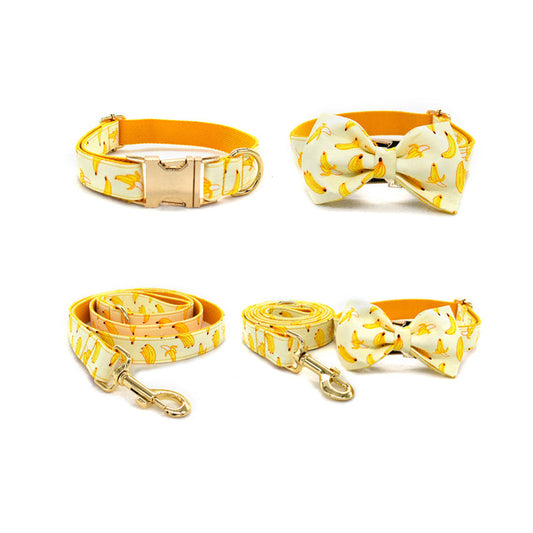 KFX-5714237 Fruit Pattern Dog Leash with Gold Metal Buckle - Available in Multiple Sizes