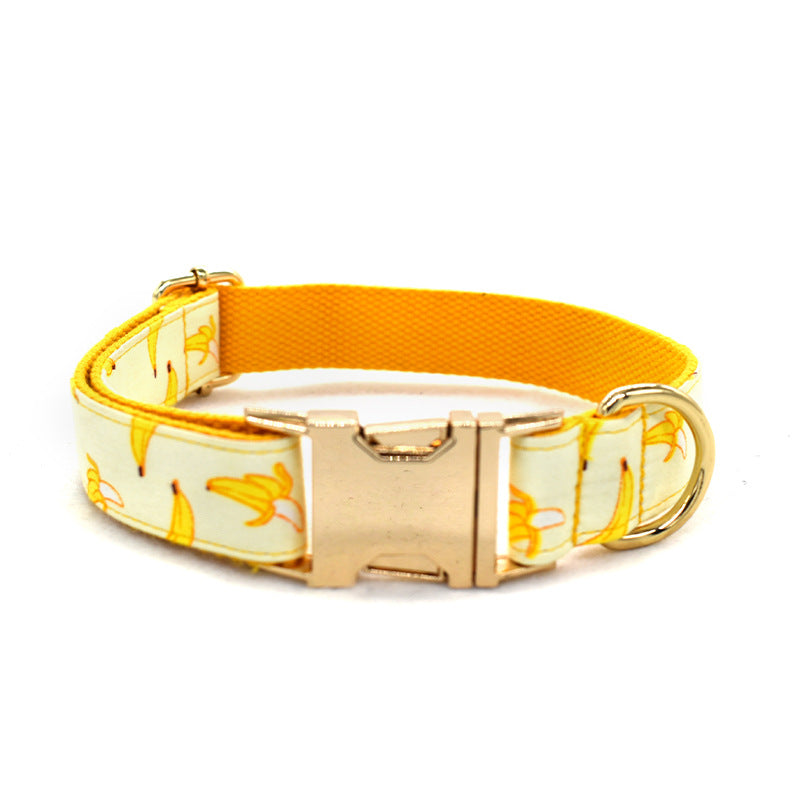 KFX-5714237 Fruit Pattern Dog Leash with Gold Metal Buckle - Available in Multiple Sizes
