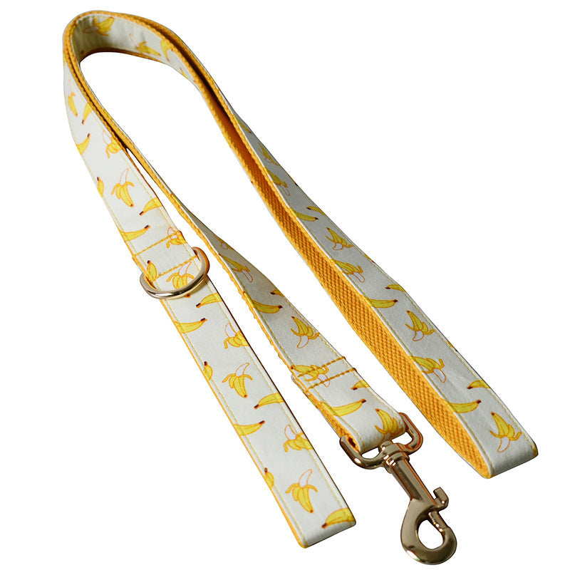 KFX-5714237 Fruit Pattern Dog Leash with Gold Metal Buckle - Available in Multiple Sizes