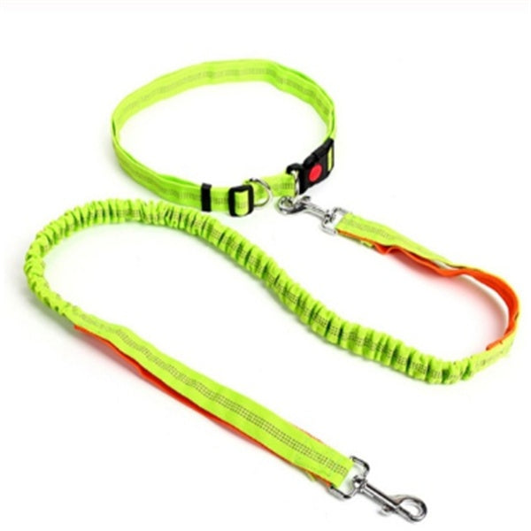KFX-5717949 Elastic Traction Rope Dog Leash with Waistband and Reflective Strip for Hands-Free Walking and Jogging